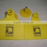 Ear Tag thumbnail-1
