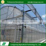 Wholesale custom temperature control plastic film backyard greenhouses