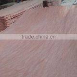 Linyi Factory Rotary Cut Grade a b c 0.30mm 4'x8' Bintangor Face Veneer thumbnail-4