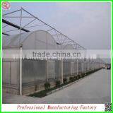 China Supplier Multi-span Agricultural Plastic Film Greenhouse for Sale thumbnail-2
