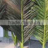 2017 Artificial Outdoor Palm Tree Plastic Palm Tree Palm Trees Sale thumbnail-4
