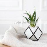 Gardening Gift Cuboctahedron Cactus Planter Geometric Glass Terrarium thumbnail-3