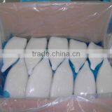 Frozen Todarodes Squid Tube in Hot Sale thumbnail-1