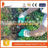 DDSAFETY Hot Sale Green Nitrile Glove Making Machine thumbnail-2