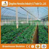 Heracles Trade Saaurance Good Quality uv Plastic Poly Tunnel Greenhouse for Sale thumbnail-5