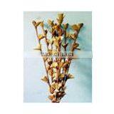 Skin Leaf Dali Sola Handmade Deco Bunches thumbnail-1