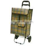 Folding Shopping Cart