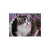 Sublimated Printing thumbnail-1