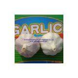 New Crop Garlic thumbnail-3