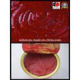 2014 Hot Nilton Ketchup thumbnail-2