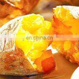 Stainless Steel Roasted Sweet Potato Machine thumbnail-1