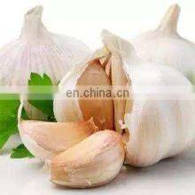 Low Price Fresh Garlic for Wholesale thumbnail-4