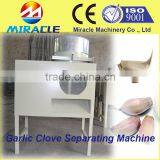 Bulk Shallot Garlic Clove Breaking and Separating Machine From Garlic Process Equipment thumbnail-1