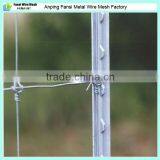 Electrostatic Spraying Green Painted Used Galvanized 10 ft t Fence Post Wholesale