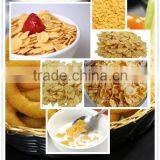 Tailormade Extruding Breakfast Cereal Production Line, Corn Flake Machine thumbnail-2
