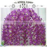 Pink Wedding Hall Decoration thumbnail-2