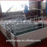 Best Selling Best Price Sow Farming Application Piglet Nursery Bed(Pig Equipment) thumbnail-6