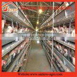 Stable steel structure professional chicken egg layer cage poultry layer cage design