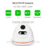Vitevision 1mp 1.3mp 2mp Optional Wall-mounted Network Vandal-proof ir ip Dome Camera