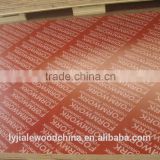 red film faced plywood/shuttering plywood for construction
