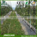 2*10m Black Agricultural pp Weed Control Mat,PP Woven Fabrics, Ground Tarp Cover, Weed Mat thumbnail-3