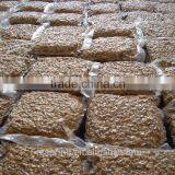 Chinese Good Quality Light Halves Walnut Kernels thumbnail-2