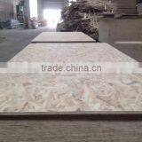 Cheap OSB/8mm OSB 3 Board (Oriented Strand Board) thumbnail-4
