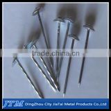 (17 years factory)Roofing nails with smooth/twisted shank from directly factory