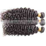 Grade 7A Malaysian Virgin Hair Water Wave 4pcs Lot Free Shipping Cheap Malaysian Curly Hair 8"-30" Remy Human Hair Weave thumbnail-2