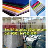 Corrugated Plastic Sheet/Corflute/Coroplast for Wall Covering/flooring Protection