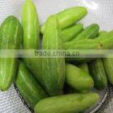 Little Gourd thumbnail-1