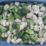 Supply 2015 Season Frozen Winter Mix Vegetable thumbnail-2