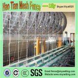 Professional Manufacture Grassland Fence/farm Field Fence /cattle Fence (factory Price )