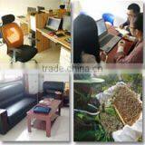Changge Glorious Future Beekeeping Supplies Co., Ltd. company overview - view 2 thumbnail