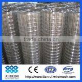 Galvanized Welded Wiremesh