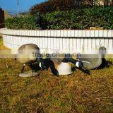 Plastic Colourful Goosey,resting Decoy,watching and Hunting Decoy Goose thumbnail-2