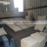 New Type Paper 32 Molds Egg Tray Making Plant thumbnail-2