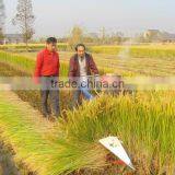 Mini Rice and Wheat Harvester Machine thumbnail-2