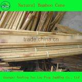 Chaocoal Home Product Bamboo