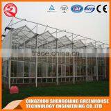 China Agriculture Equipment Venlo Greenhouse for Planting Flowers and Vegetables thumbnail-1