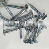 Galvanized Clout Nails With Flat Head thumbnail-4