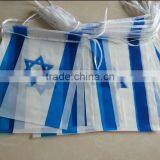 Printed Israel Flag thumbnail-1