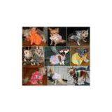 Canada Pet Carrier thumbnail-1