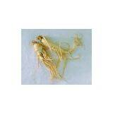 Panax Ginseng Extract thumbnail-1