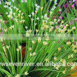 The Simulation Flower Art Flowers, Household Act the Role Ofing is Tasted Vases, Flower Implement Accessories Single Flowers Dec thumbnail-5