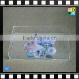 New Design Clear Acrylic Serving Trays With Priting Pattern for Sale thumbnail-3