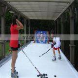 Ice Hockey Bauer/fake Plastic Ice thumbnail-2