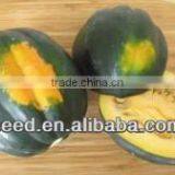 Green Skin and Uneven Pumpkin Seed