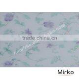 Ceiling Panel Transparent