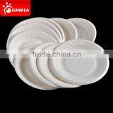 6 inch disposable stripe Sugarcane Plates